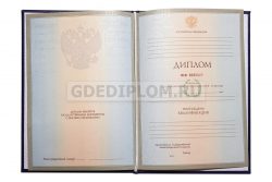 диплом ГИ им. Столыпина 2004-2009