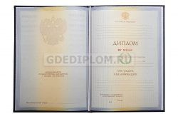 диплом ГИ им. Столыпина 2010-2011